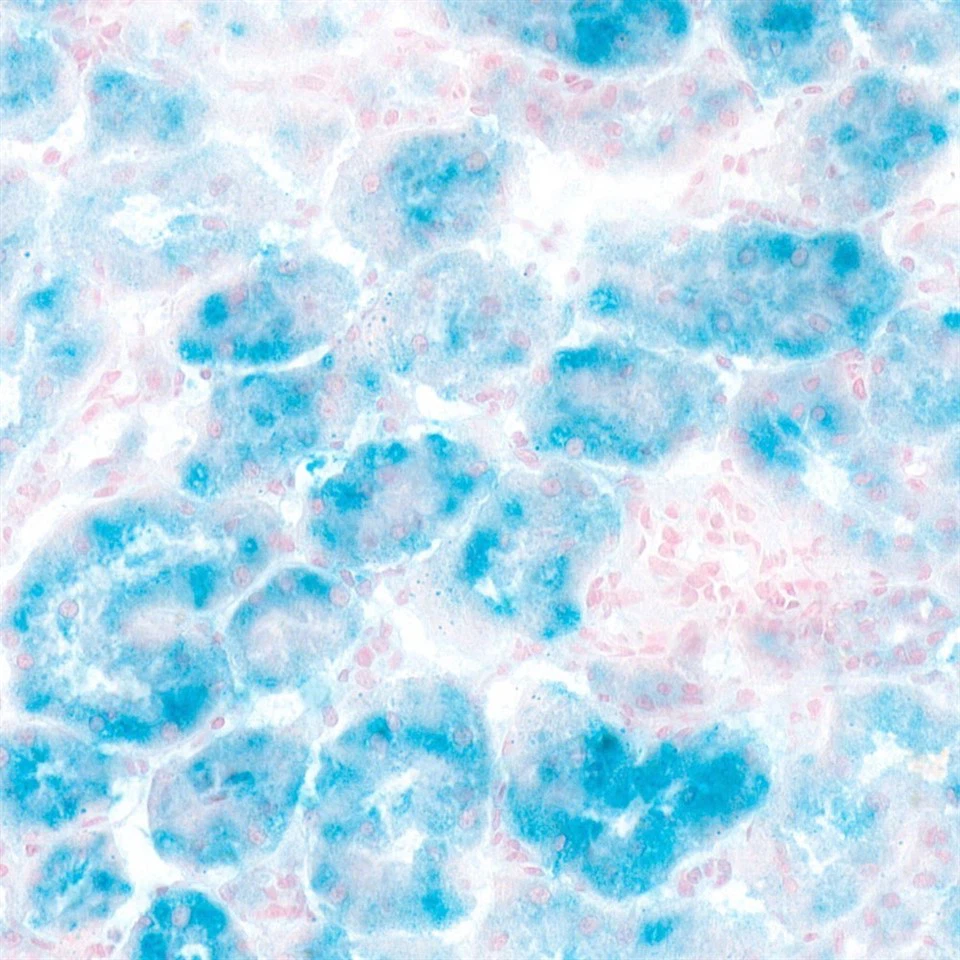 167ecf9c15ddf857bf36beeccb5b3698