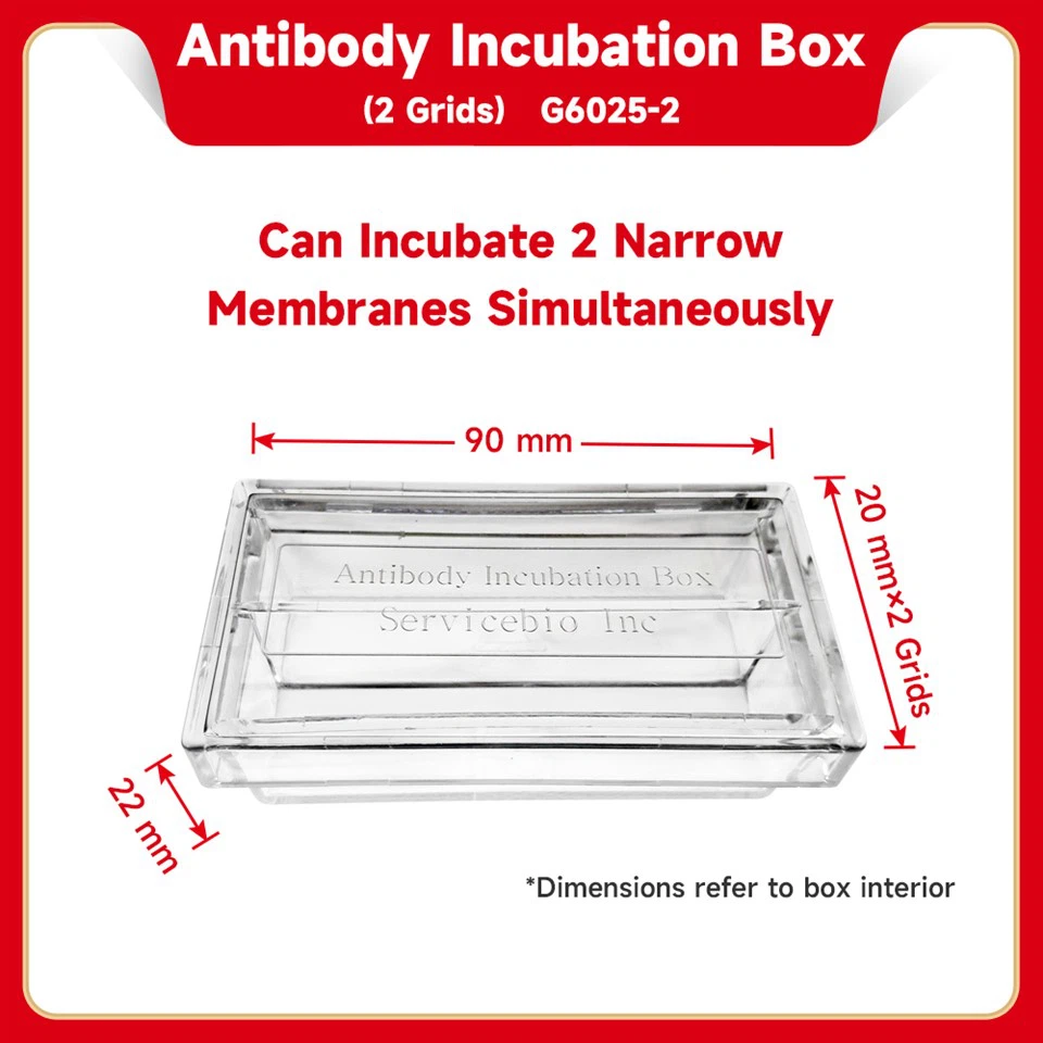 Antibody Incubation Box (2 Grids)