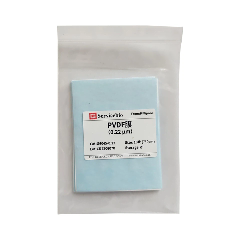 पीवीडीएफ झिल्ली (0.22μm)