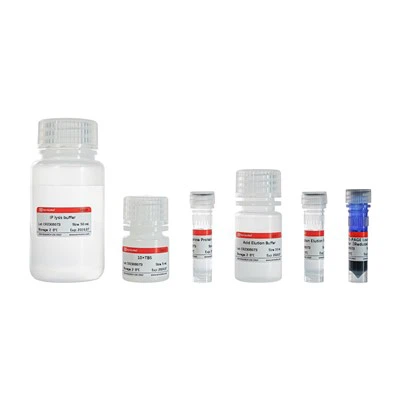 इम्यूनोप्रेसिपिटेशन किट (प्रोटीन जी अगारोज)