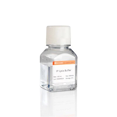 आईपी ​​​​लिसिस बफर