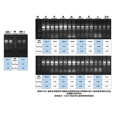 मैगबाइंड पशु ऊतक/कोशिका कुल आरएनए किट
