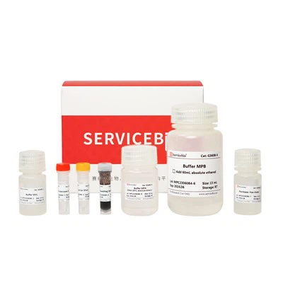 मैगबाइंड वायरस डीएनए/आरएनए एक्सट्रैक्शन किट