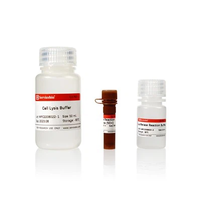 मोनो-लुमी जुगनू लूसिफ़ेरेज़ रिपोर्टर जीन परख किट