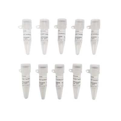 PEI 40K अभिकर्मक अभिकर्मक