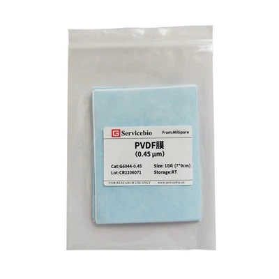 पीवीडीएफ झिल्ली（0.45μm）