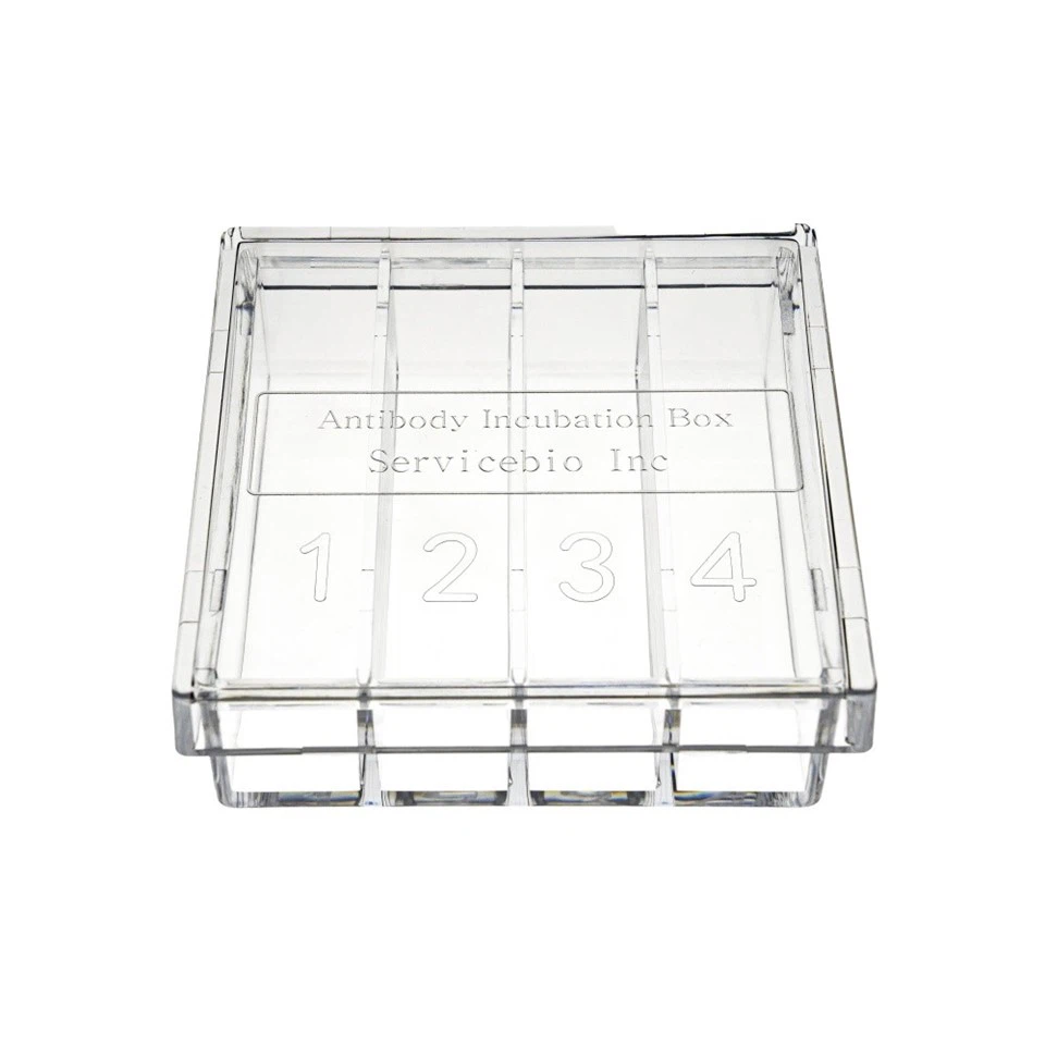 WB Antibody Incubation Box (6)